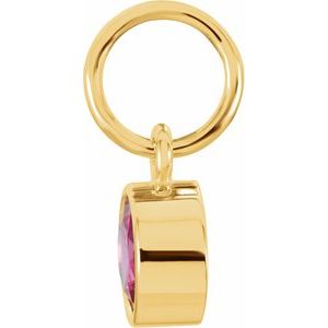 14K Yellow Posh Mommy® Imitation Ruby Charm